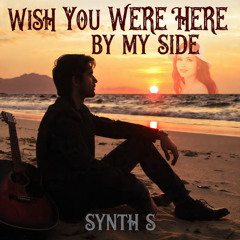 Wish You Were Here By My Side (Special Version)