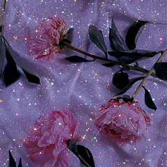 Joey Valence & Brae - Punk Tactics//slowed