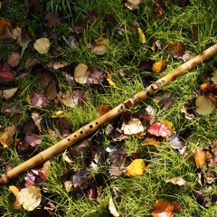 Testing Beth's flute (Native American Flute) [drone flute]