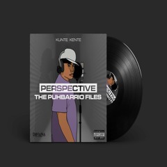 Kunte Kente - Perspective the puhbarrio files