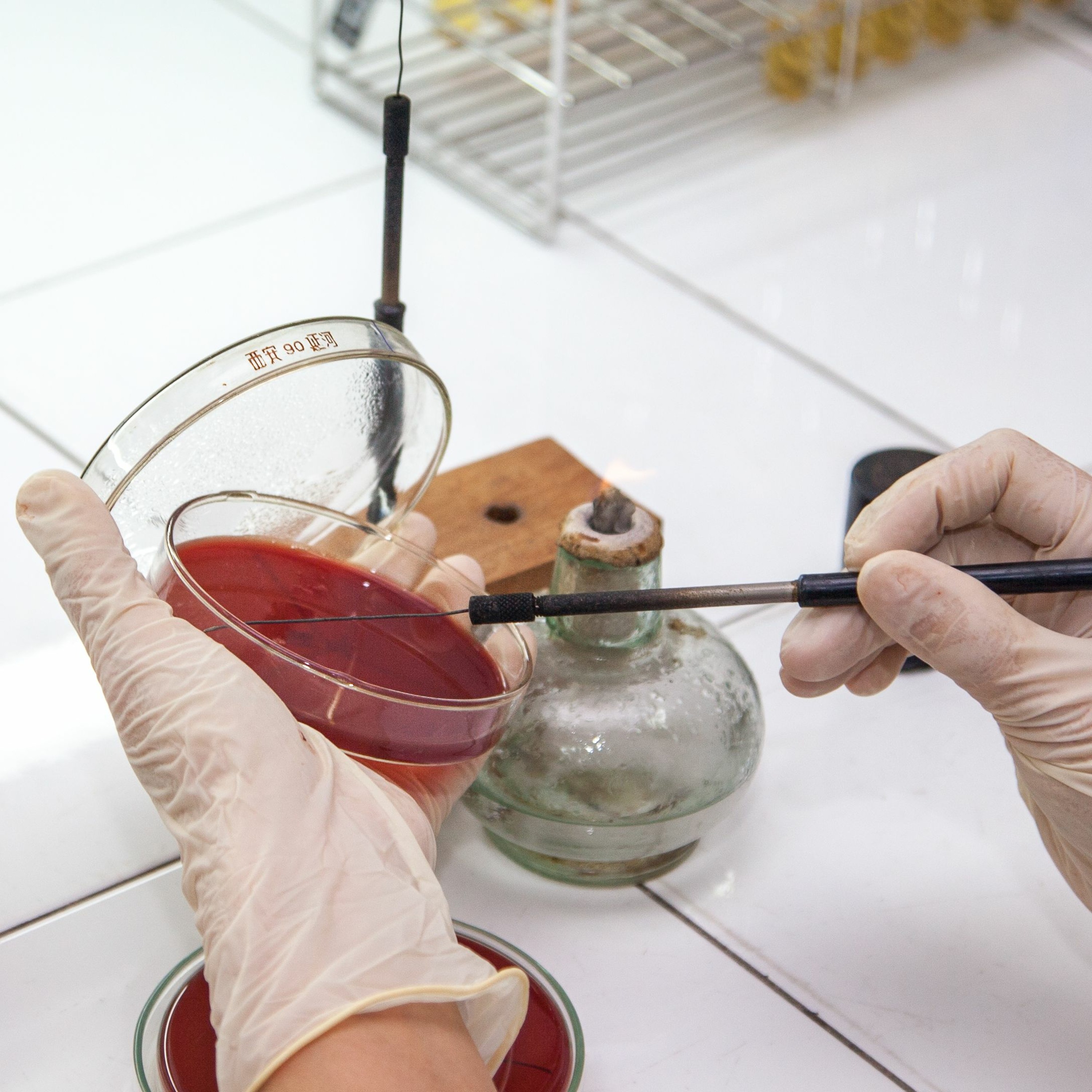 5 | Streptococcus Suis, have you tidied your bedroom? episode artwork