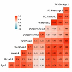 DNA Methylation-Based Measures of Biological Aging and Cognitive Decline Over 16 Years