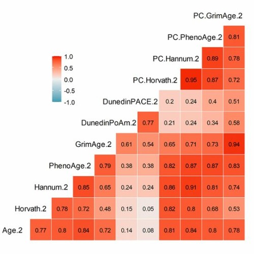 DNA Methylation-Based Measures of Biological Aging and Cognitive Decline Over 16 Years