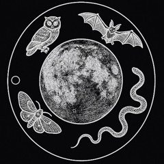 SCUM - Scrap Frequency