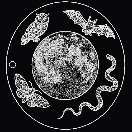 SCUM - Scrap Frequency