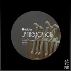 Bilevicius - Waiting For You (Vitanota Remix)
