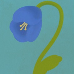 Live @ Neoteric Vol. 2 - Noah Power