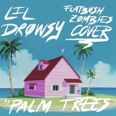 Palm Trees Cover (Flatbush Zombies Instrumental)