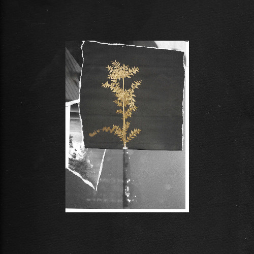 Perplexed Continuum - Time Out Of Mind [AVO_017]