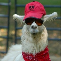 Jak Masz Słabe Uszy To Nie Włączaj Feat. Marley