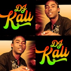 DJ Kali's Tribute to Sluggy Ranks (100% Vinyl)