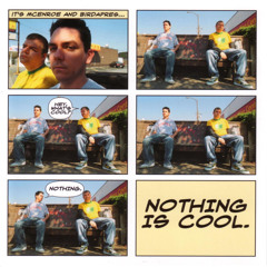 Nothing is Cool (feat. Birdapres)
