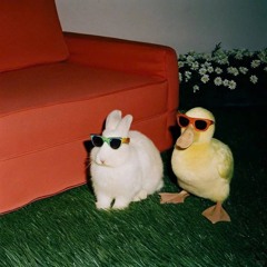 بهار اومد گلا وا شد