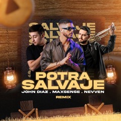 Isabel Aaiún - Potra Salvaje (John Diaz, Maxsense & Nevven Remix) (Extended Mix) Preview