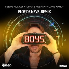 Felipe Accioly, Liran Shoshan & Cahe Nardy - Boys (Elof de Neve remix) (radio edit)