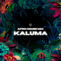Afro House Club Mix "Kaluma"