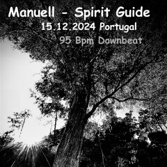 Manuell - Spirit Guide 15.12.2024