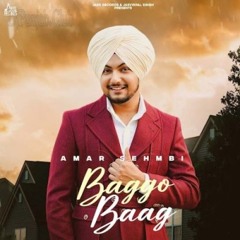 Baggo Baag | Amar Sehmbi