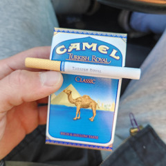 Camel Turkish Royal