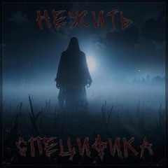 облик 1.15x – специфика