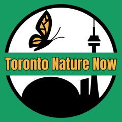 Toronto Nature Now