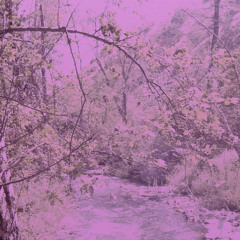 take my soul (10 toes) [prod. León Joel]