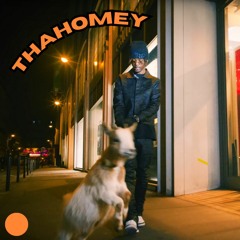 thaHomey - Megamix.wav
