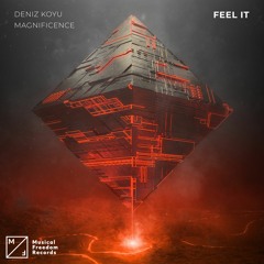 Deniz Koyu & Magnificence - Feel It