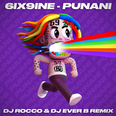 6ix9ine - Punani (DJ ROCCO & DJ EVER B Remix)