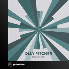 Premiere: Olly Pitcher - Sonic Bloom - Reckless Romantic Records