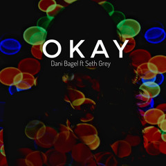 Okay - Dani Bagel ft. Seth Grey