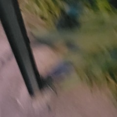 She Always Gets Home