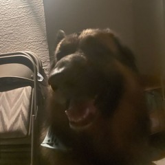 Just checked and it wasn’t there , someone stole it