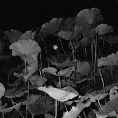 Sun In Your Head - February 2021