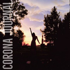 Confinement journal #2 - apprehension