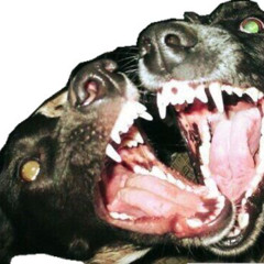 2_graves_4_doors_mix