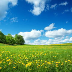 (SOUL SPIN) wifiskeleton - twenty sucks