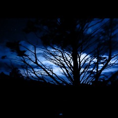 Gone (naviarhaiku502)