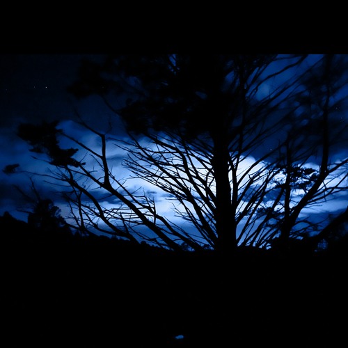 Gone (naviarhaiku502)