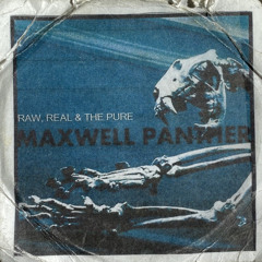 MAXWELL PANTHER - Start Of Decay