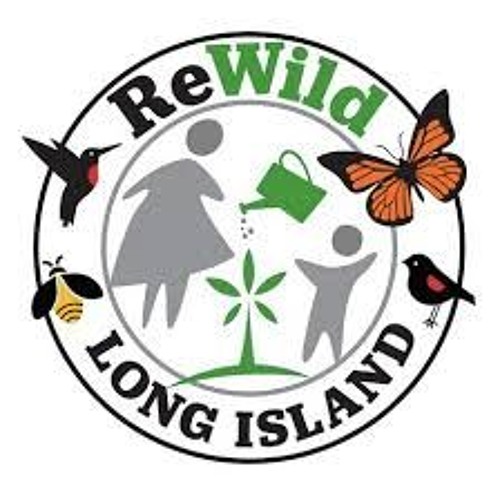 Gloria Frazee Rewild Long Island #3