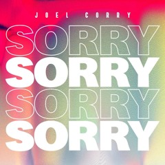 JOEL CORRY - SORRY (Studio Acapella) FREE DOWNLOAD