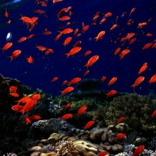 afiliación ingreso afiliación unión background size cover FREE DOWNLOAD