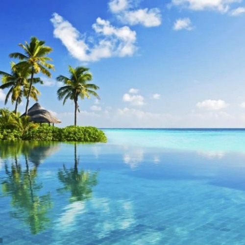 (Weyerhae royalty free background music ​​👯‍ FREE DOWNLOAD
