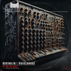 Rauschhaus, Adrinalin - In Joy We Rust