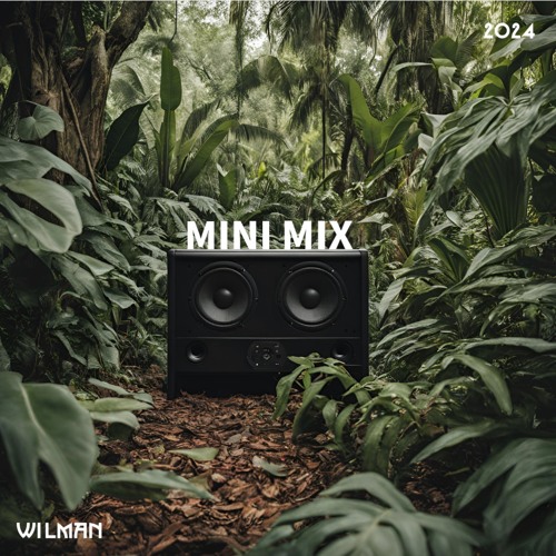Mini Mix 2024 - WILMAN