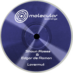 Premiere: Shaun Moses - Komplete [Molecular Recordings]