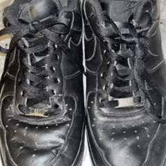 Watch The Party Die Freestyle