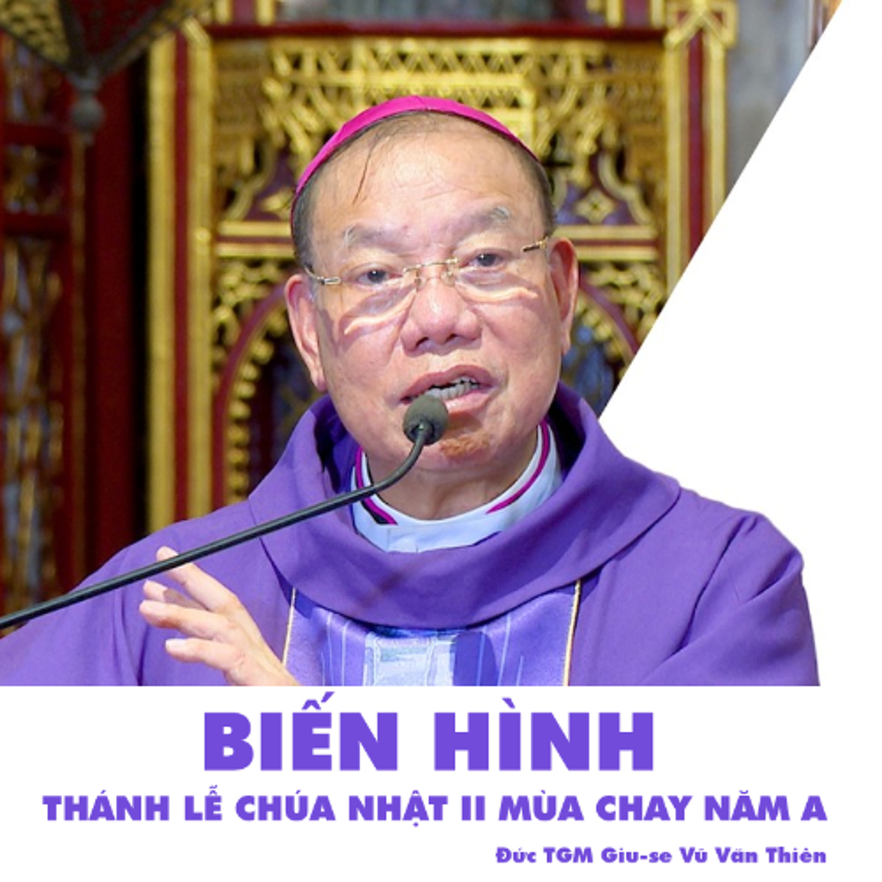 CN II MC A || Biến hình || Đức TGM Giu-se Vũ Văn Thiên episode artwork