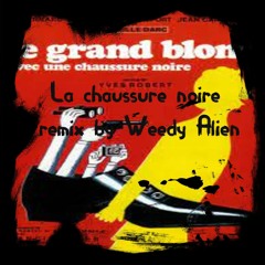 pierre richard remix